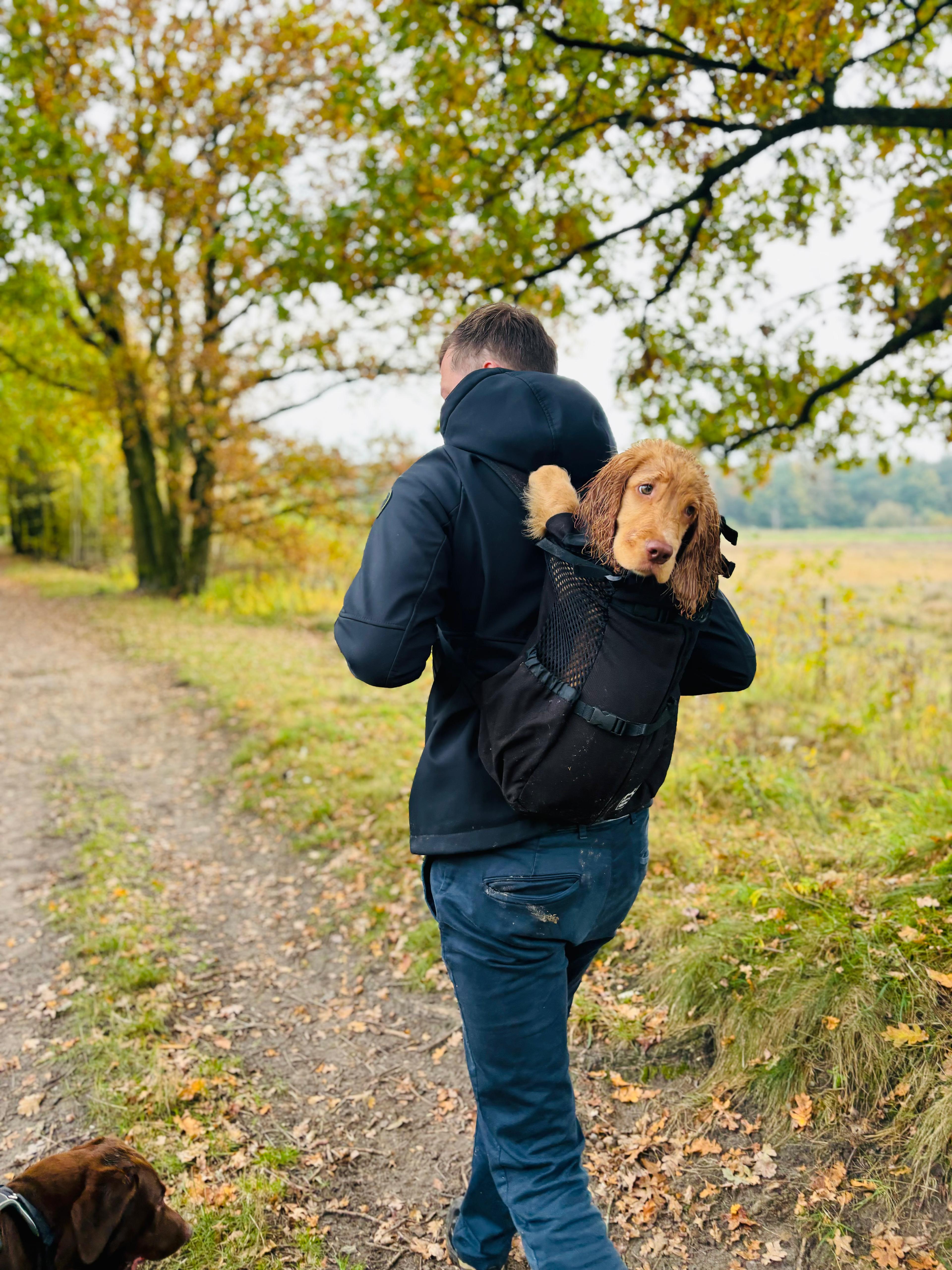 Matthijs met een puppy in een draagzak